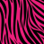 Růžová zebra