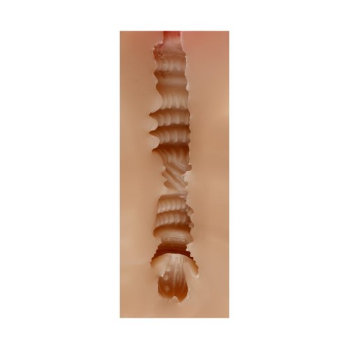 Vagina Pussy Judith Skin, 14,5 cm